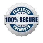 100% Secure payments